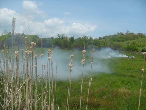 ����� 2009